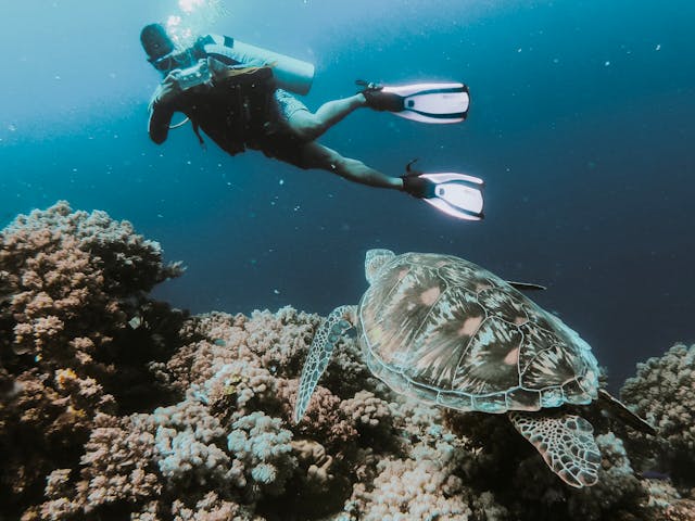 scuba diving - date idea in virginia